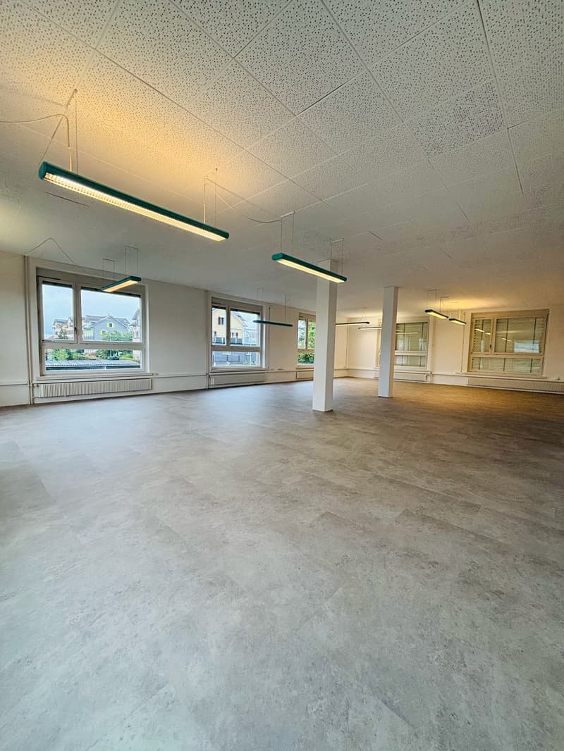 Attraktives Büro (Gewerberaum) 120m2 (3)