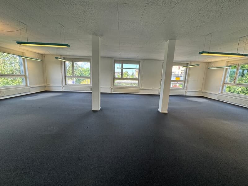 Attraktives Büro (Gewerberaum) 120m2 (3)