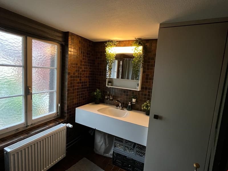 Charmante 2.5-Zimmer-Wohnung im Herzen von Arbon (5)
