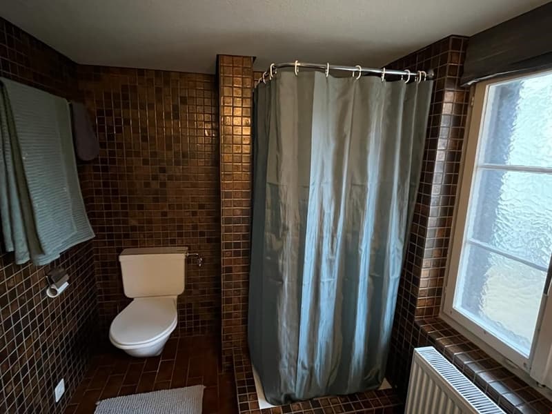 Charmante 2.5-Zimmer-Wohnung im Herzen von Arbon (6)