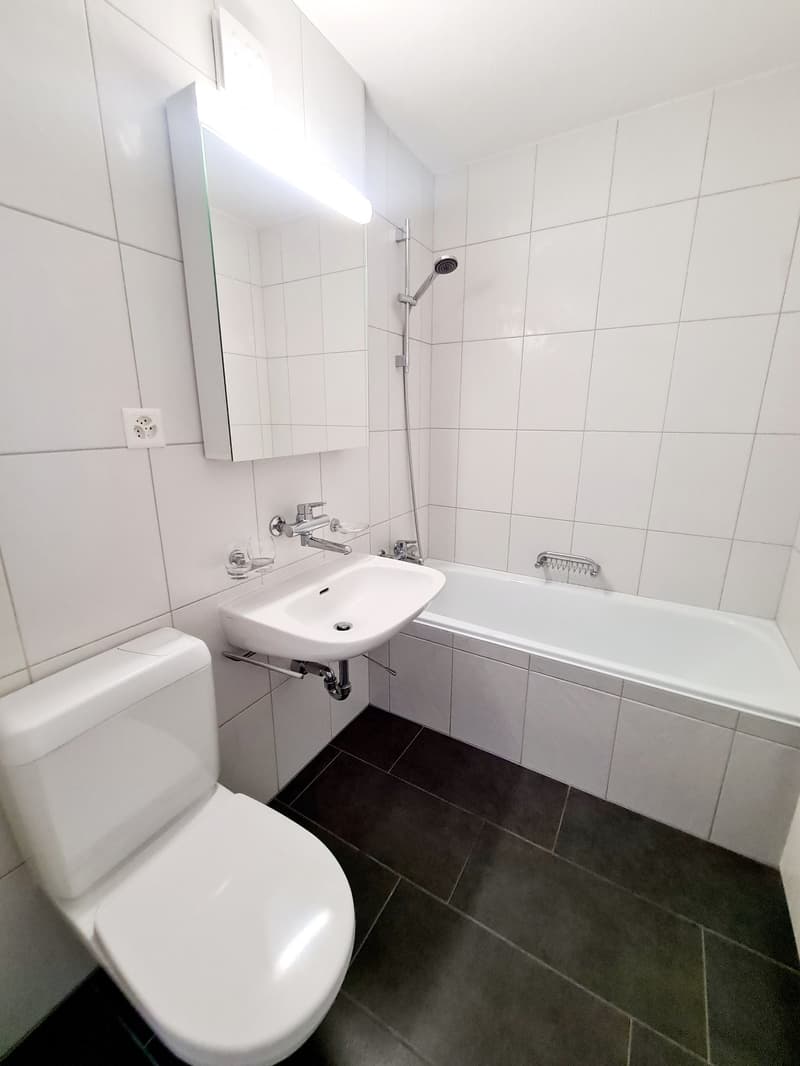 Moderne 2.5 Zimmerwohnung an Zentralerlage (3)