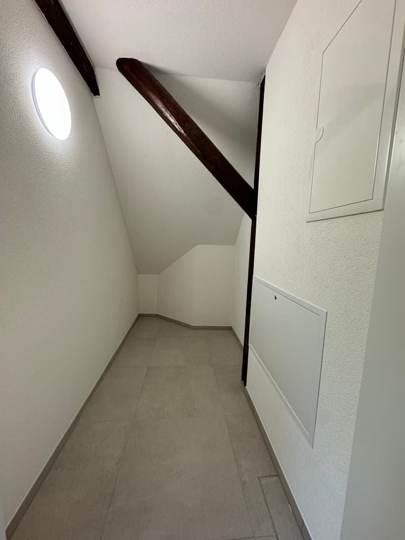 Charmante 1.5-Zimmer-Dachwohnung im Loft-Stil in St. Gallen (7)