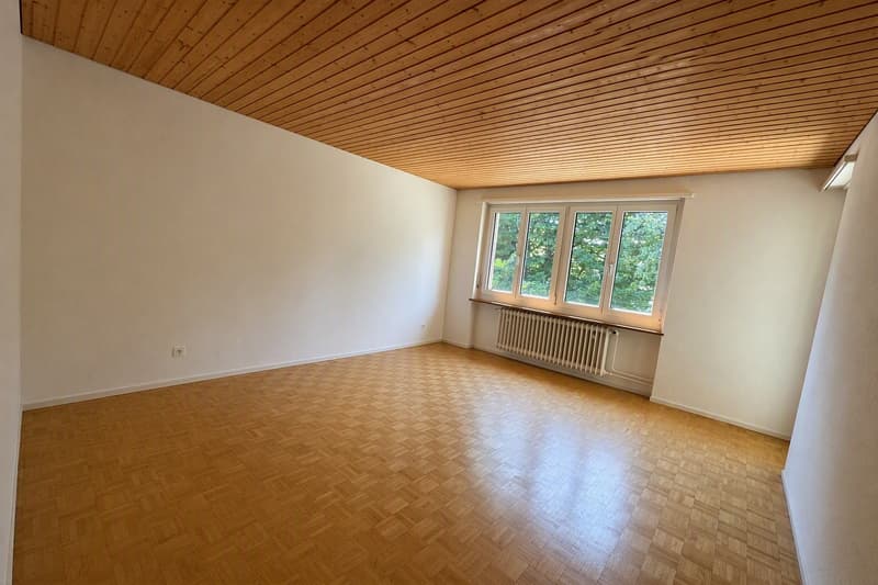 Gemütliche 3-Zimmer-Wohnung mit Balkon in St. Gallen (3)