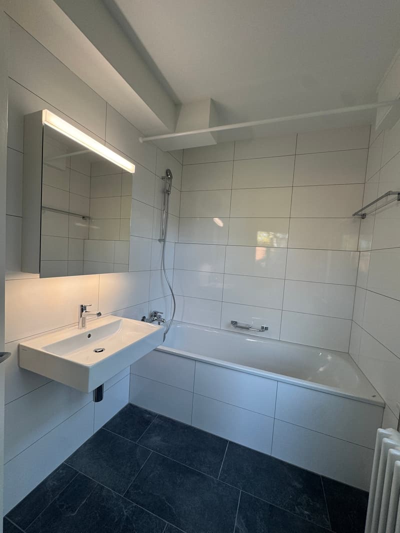 Sehr schöne Wohnung fast im Zentrum an ruhiger Lage (8)