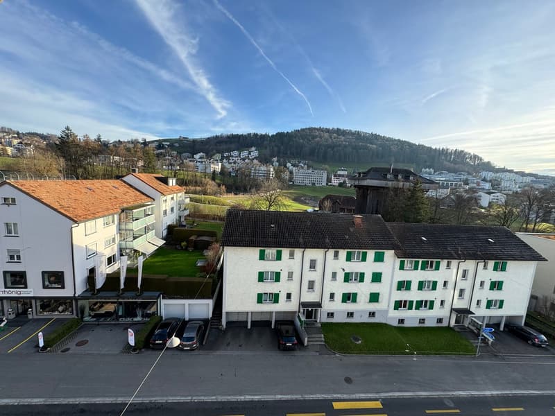 Moderne Wohnung an zentraler Lage zur Miete (7)