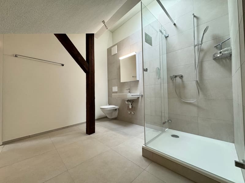 Moderne Wohnung an zentraler Lage zur Miete (5)