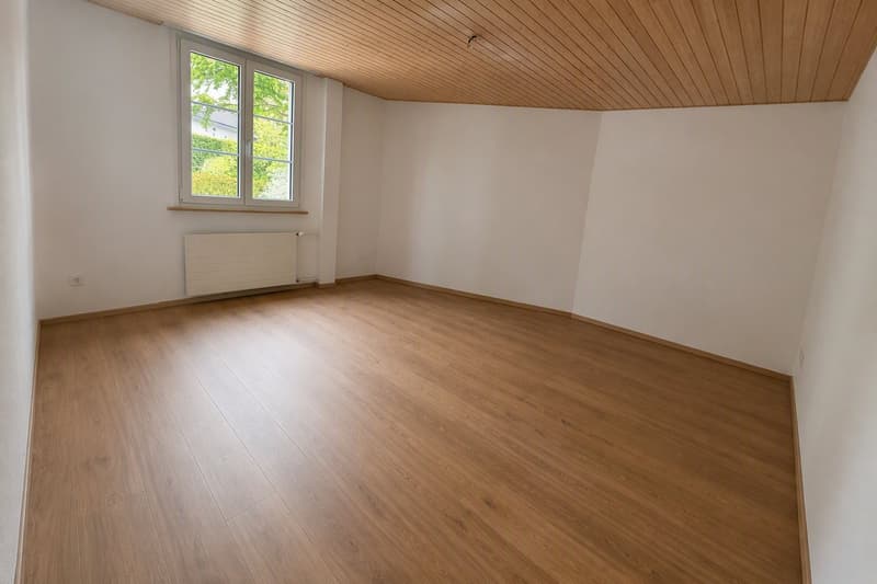 Attraktive Stadtwohnung (2)