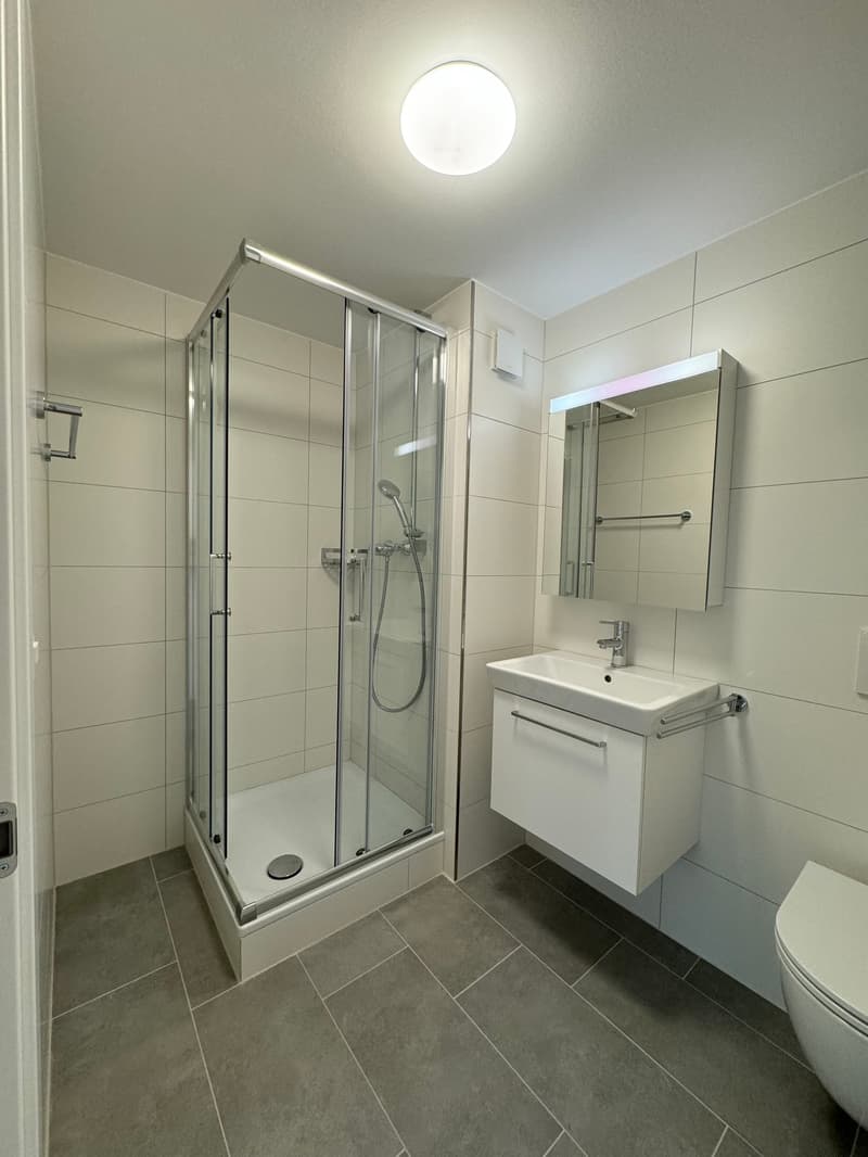 Charmante 1.5-Zimmer-Wohnung an ruhiger Lage in St. Gallen (3)