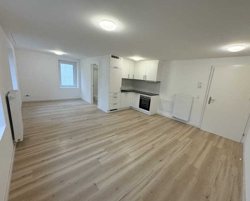 Charmante 1.5-Zimmer-Wohnung an ruhiger Lage in St. Gallen (1)