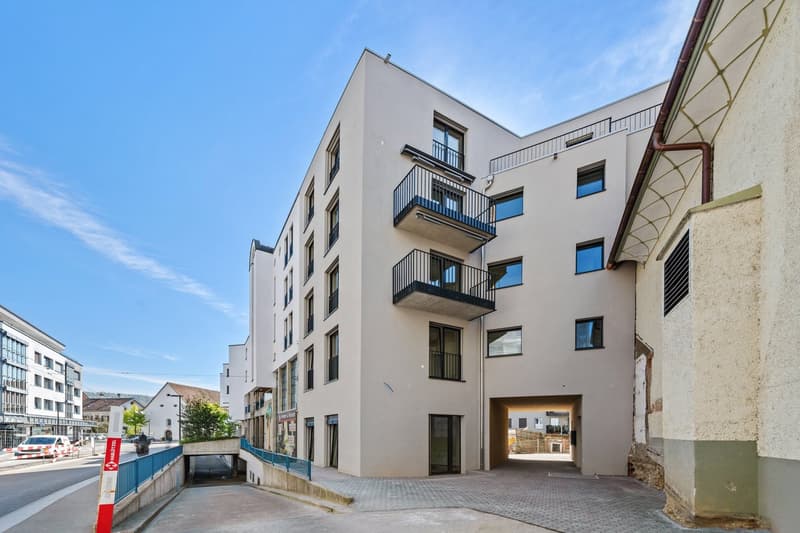 Attika Wohnung in Neuhausen am Rheinfall (1)