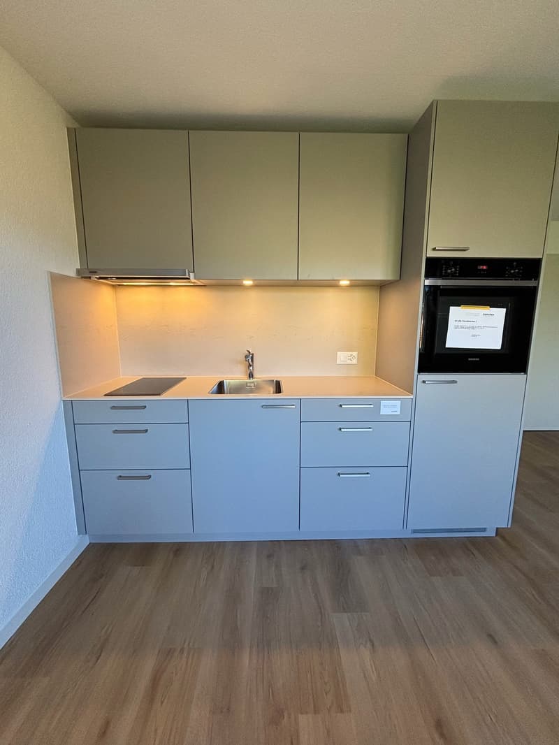 Single Wohnung mit Balkon *top moderne neue Küche* (1)