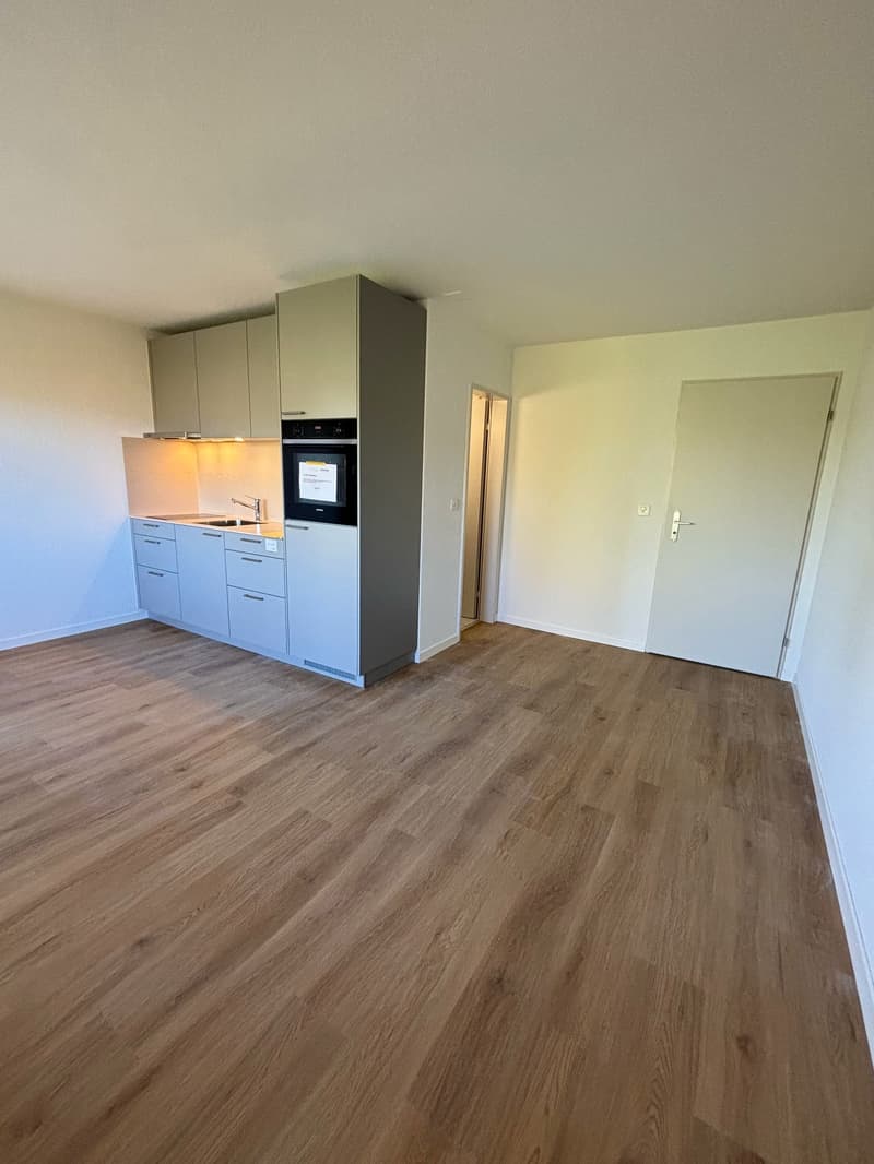 Single Wohnung mit Balkon *top moderne neue Küche* (6)