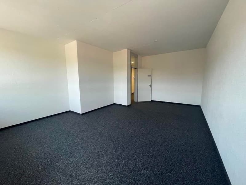 Empty room with white walls, dark gray carpeted floor, and a door visible.