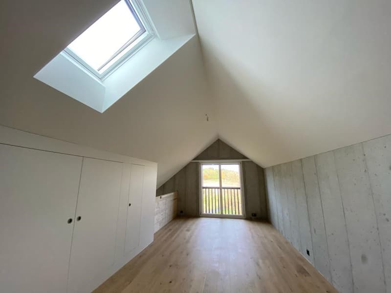 empty attic room with wooden floor, white walls, white wardrobes, skylight, balcony