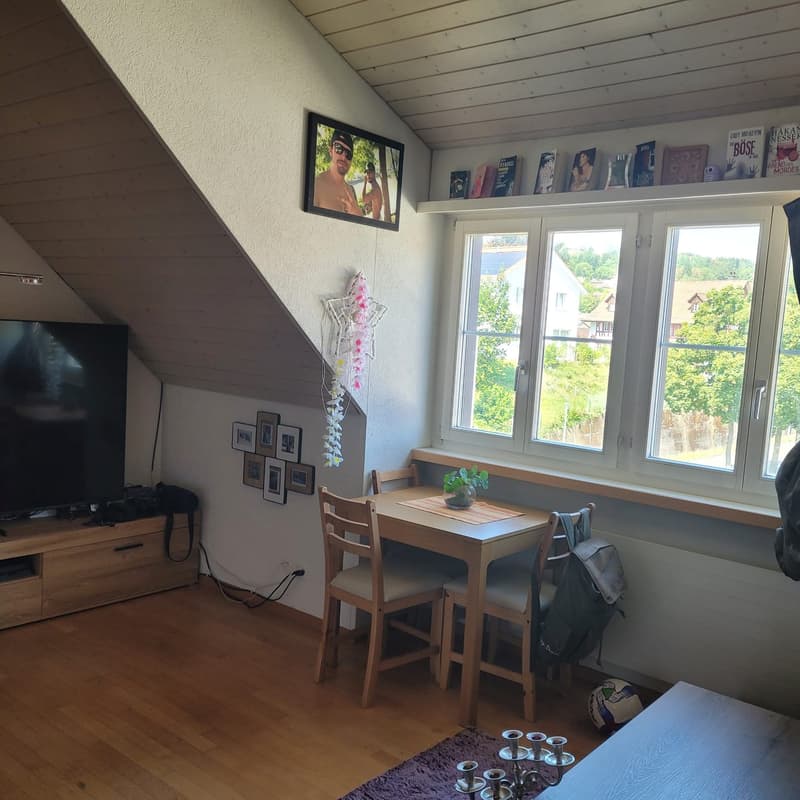 Gemütliche Wohnung ohne Balkon (6)