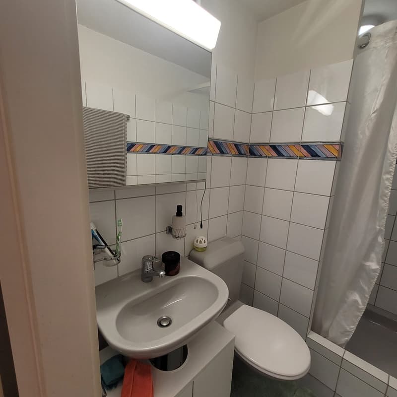 Gemütliche Wohnung ohne Balkon (12)