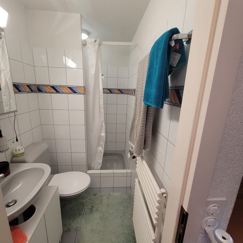 Gemütliche Wohnung ohne Balkon (11)