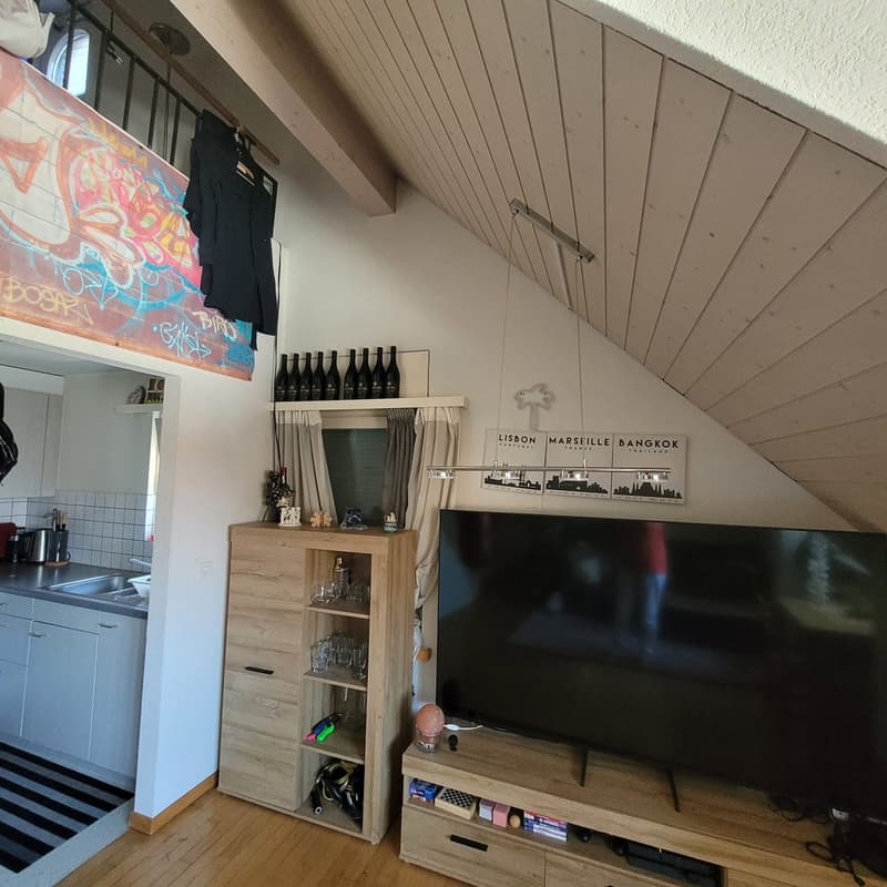 Gemütliche Wohnung ohne Balkon (7)