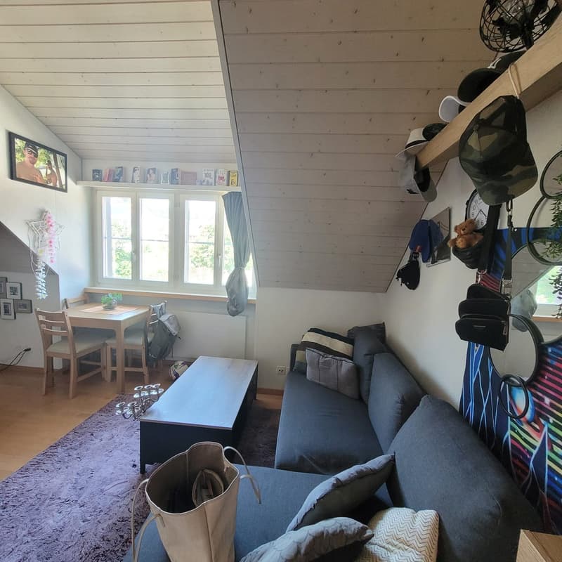 Gemütliche Wohnung ohne Balkon (2)
