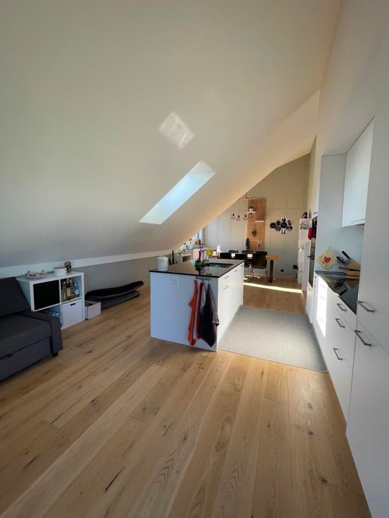 Moderne Dach-Maisonettewohnung mit Charme an ruhiger Lage (9)