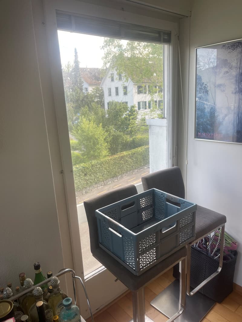 Schöne, grosse Wohnung befristet bis 31.01.2027 zu vermieten (7)