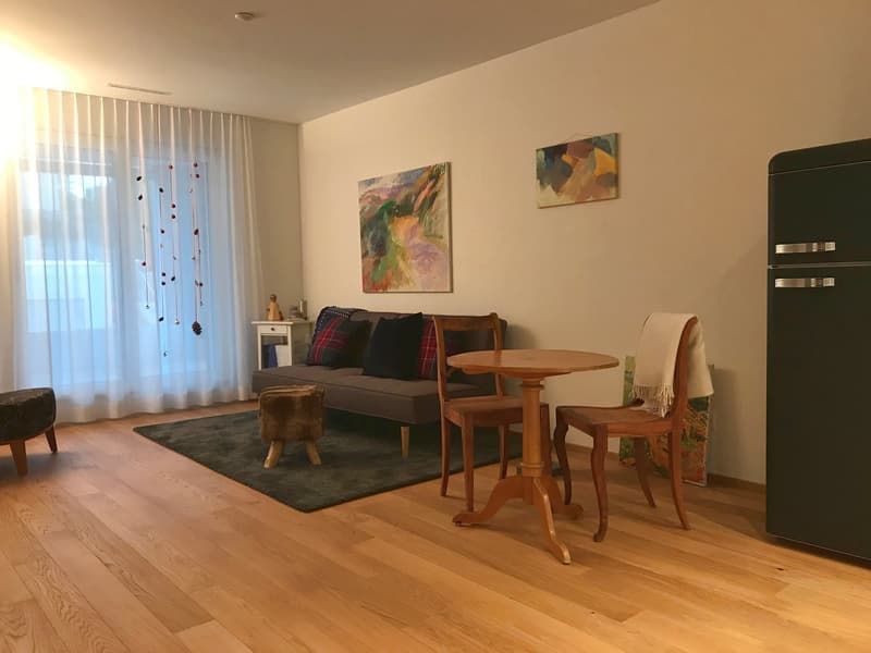 Exklusive Wohnung mit schöner Aussicht (5)
