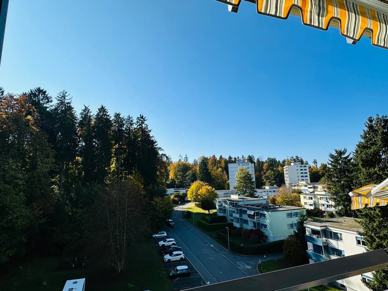 Charmante 3-Zimmer-Wohnung im 5. Obergeschoss in Zollikon (10)
