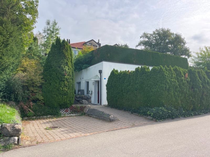 Einfamilienhaus und Wirkungsstätte für Kreative (3)