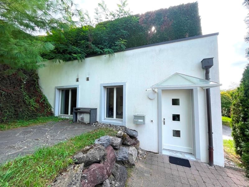 Einfamilienhaus und Wirkungsstätte für Kreative (9)