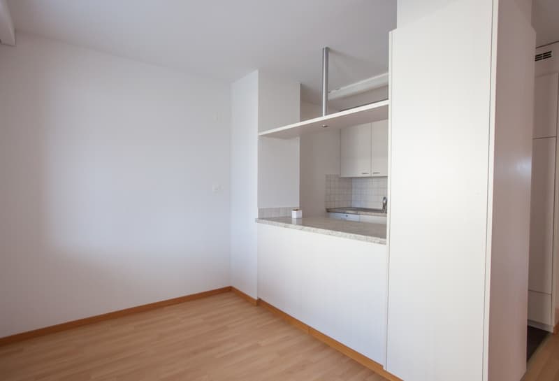 Grosse 4.5 Zimmerwohnung an ruhiger Lage (8)