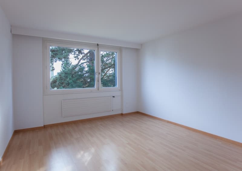 Grosse 4.5 Zimmerwohnung an ruhiger Lage (7)