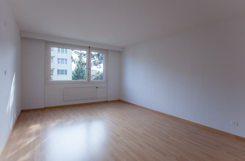 Grosse 4.5 Zimmerwohnung an ruhiger Lage (6)