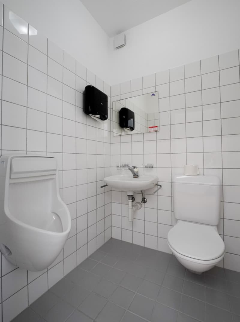 Grosszügige Gewerbeliegenschaft an attraktiver Lage – vielseitig nutzbar (14)