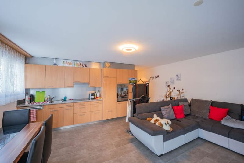 Attractive rental properties in the village center of Unteriberg! (19)