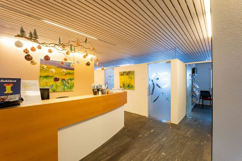 Attractive rental properties in the village center of Unteriberg! (12)