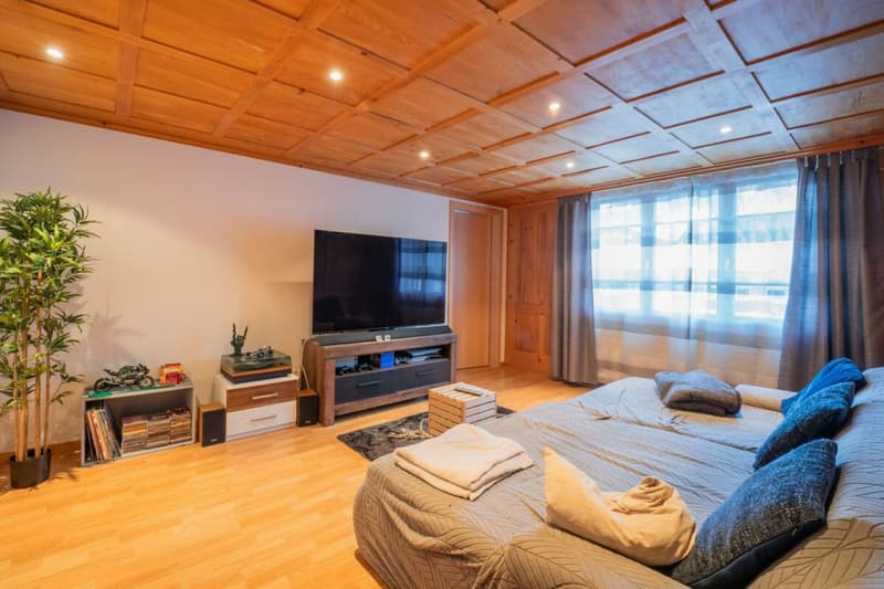 Attractive rental properties in the village center of Unteriberg! (6)