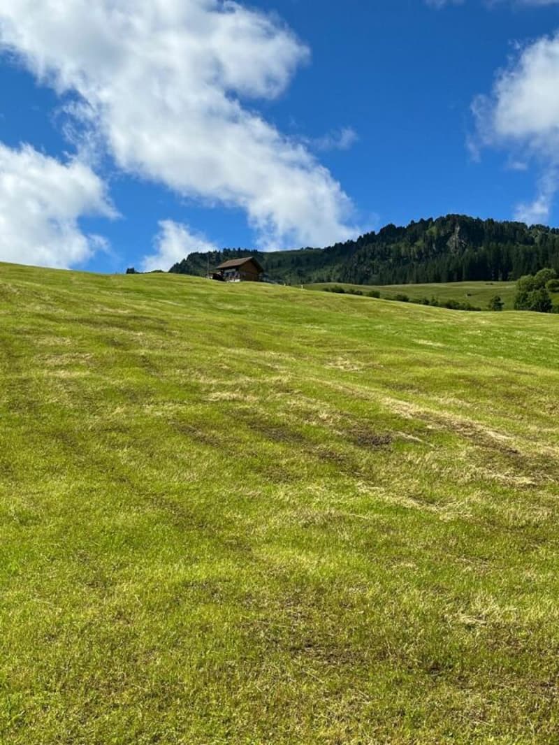 4-Zimmerwohnung neben der Skipiste (7)