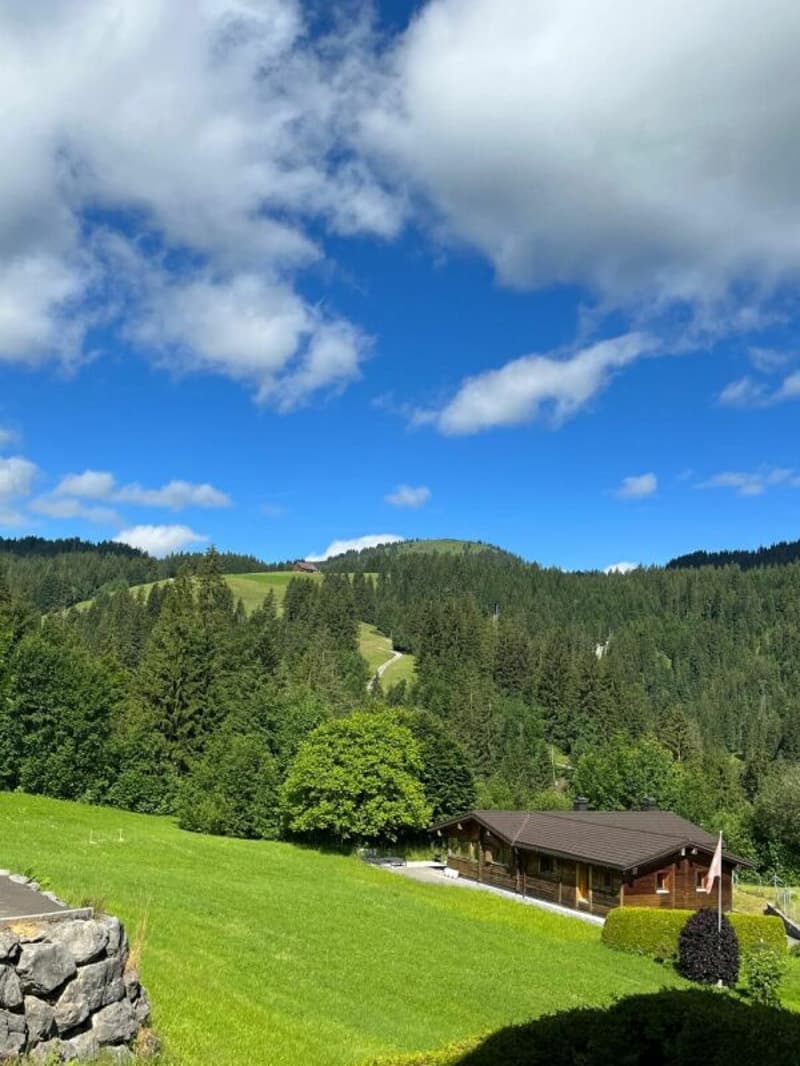 4-Zimmerwohnung neben der Skipiste (1)