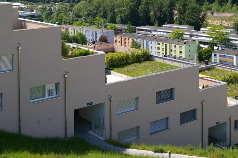 Attraktive 5.5 Zimmer-Maisonette-Wohnung mit Terrasse und Dachgarten! (1)