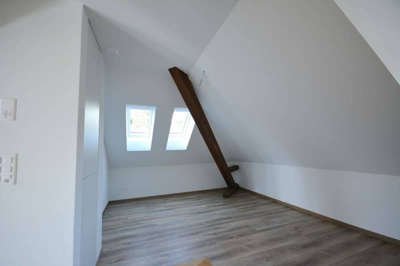 Loft-Dachwohnung auf 2 Etagen in Villa in Aarburg (3)