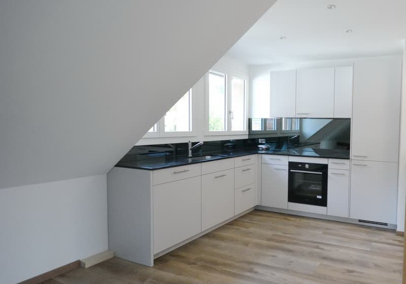 Loft-Dachwohnung auf 2 Etagen in Villa in Aarburg (4)