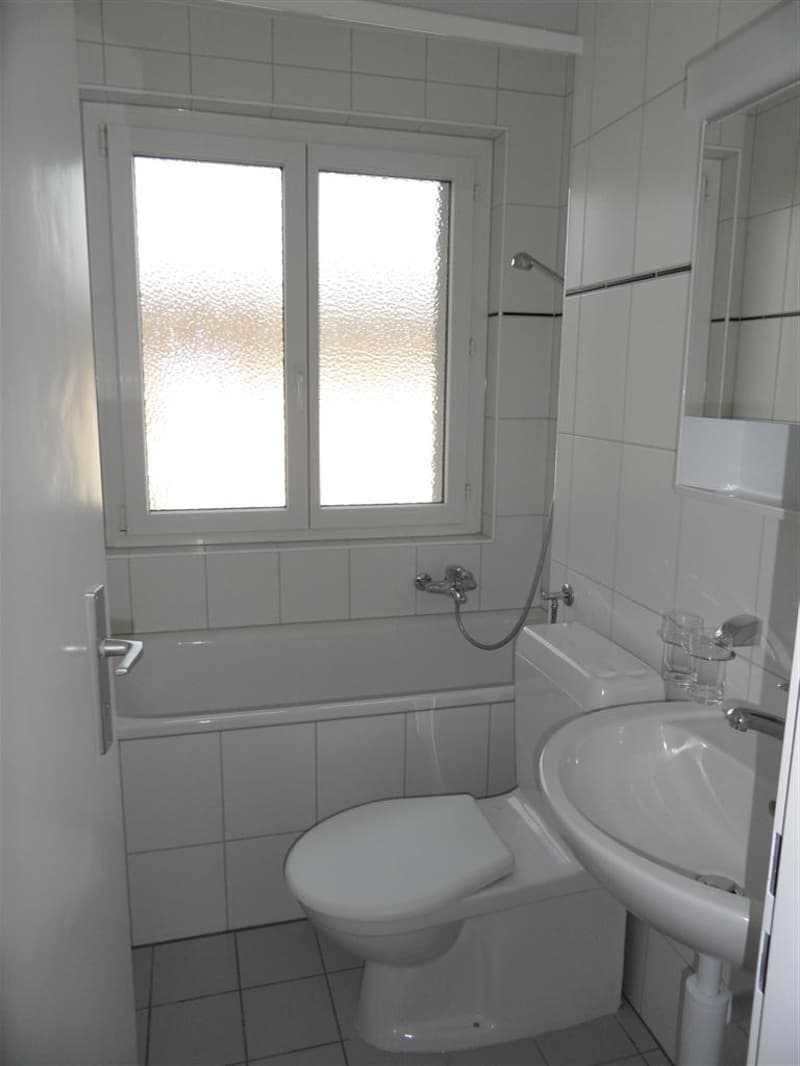 Schöne 3 Zimmer-Wohnung mit sonnigem Balkon (7)