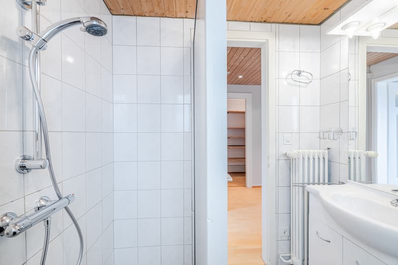 Grosszügige 3.5-Zimmer Wohnung mit schöner Dachterasse (8)