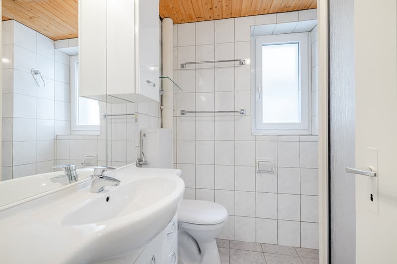 Grosszügige 3.5-Zimmer Wohnung mit schöner Dachterasse (7)