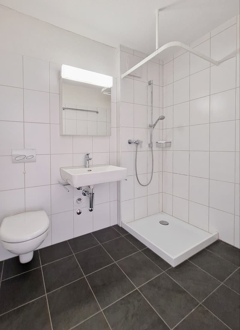 ideale 4.5- Zimmerwohnung für Familien, Paare oder Wohngemeinschaften (9)