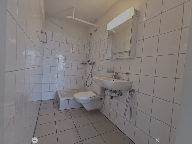 lichtdurchflutete 4.5- Zimmerwohnung im 5. Stock (7)