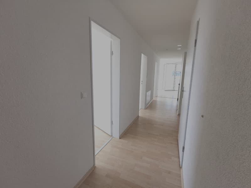lichtdurchflutete 4.5- Zimmerwohnung im 5. Stock (9)