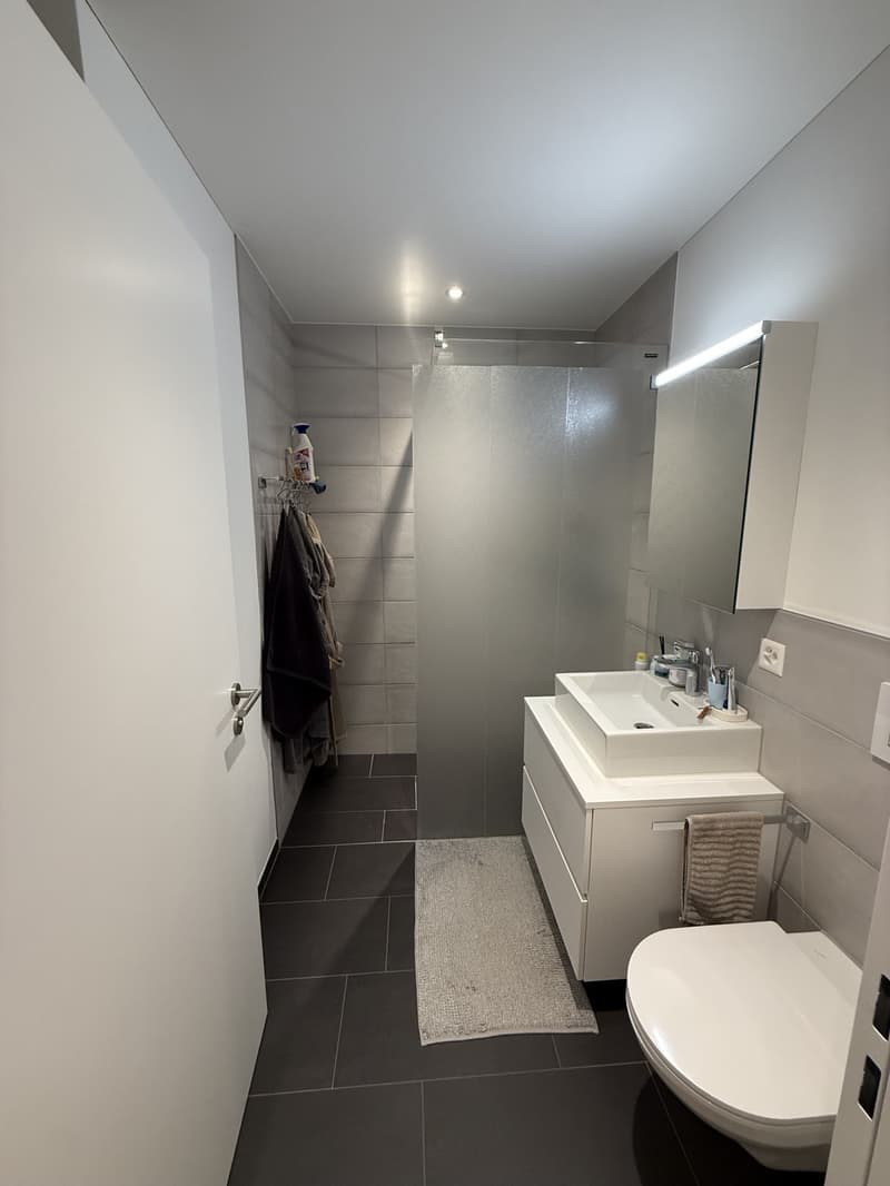 3.5-Zimmer-Wohnung in Bahnhofsnähe (6)