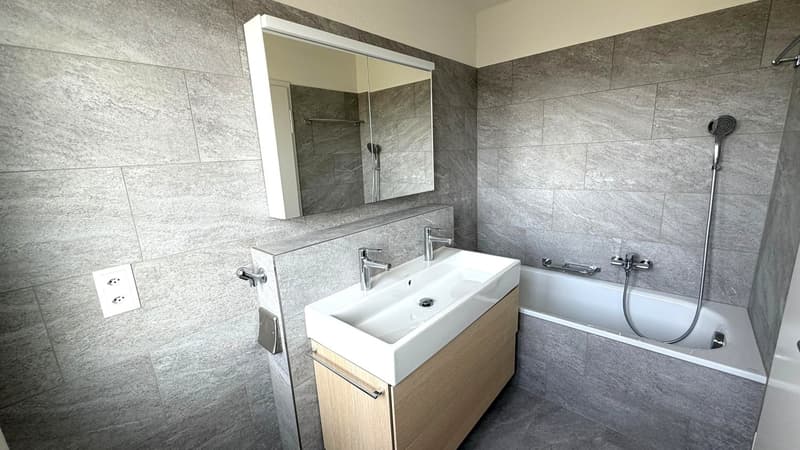Frisch sanierte 4.5-Zimmer-Attikawohnung an zentraler Lage in Wetzikon (8)