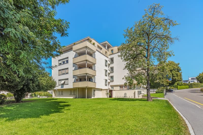 Frisch sanierte 4.5-Zimmer-Attikawohnung an zentraler Lage in Wetzikon (1)